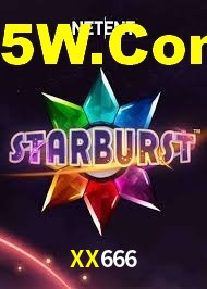 Explore as vantagens do XX666: serviço profissional e confiabilidade